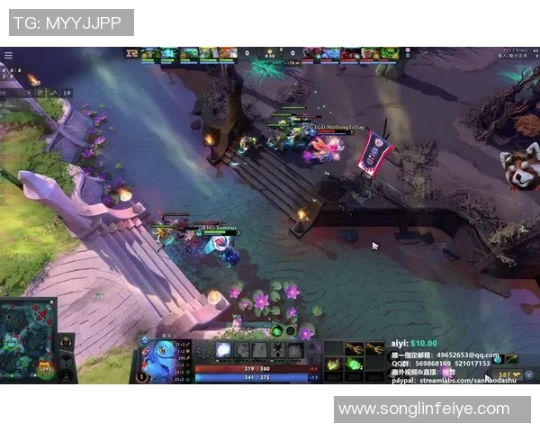 DOTA2热议RNG战术争议背后的深层原因与影响分析