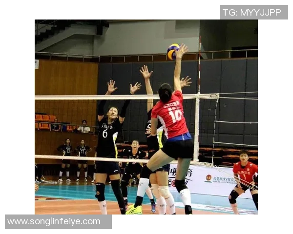 上海排球队团队协作的成功之道与战术分析探讨