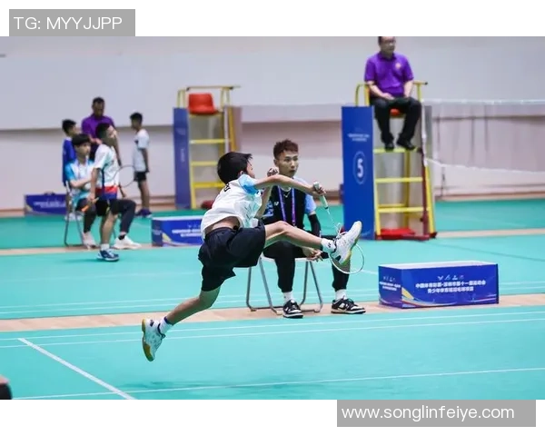 深圳羽毛球队荣登羽毛球战术排行榜第二名展现强大实力与团队默契